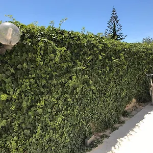  Casa vacanze Zibi&bibbo